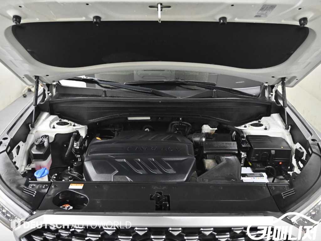 Hyundai Palisade Diesel 2.2 4WD thumbnail 6